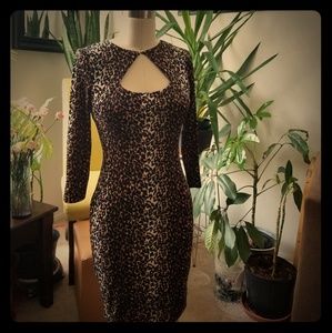 Cache Velvet 3/4 Sleeve Leopard Print Dress